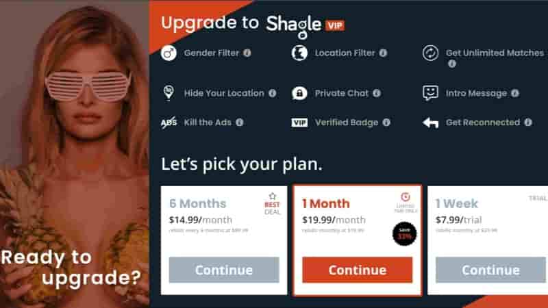 Shagle upgraded